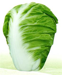 3̖(ho)ײ˷N