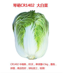CR1402[ײˡײ˷N