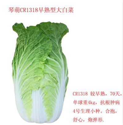 CR1318ʹײ--ײ˷N
