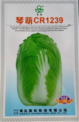 CR1239ײ˷N