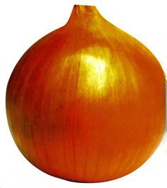 ձS[--[N