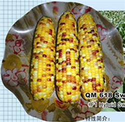 ��ɫ��618��Ŵ���ף�һ�����䣩���������N��