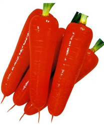 ձ硪}N