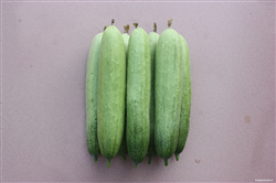QPS-987 CucumberSϷN