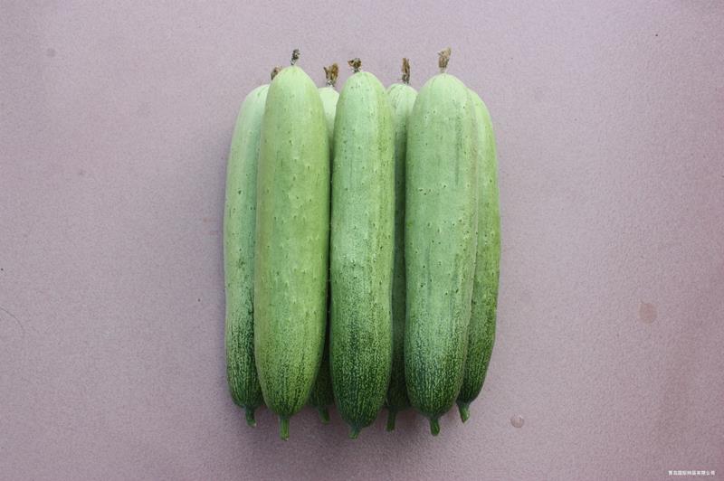 QPS-987 Cucumber--SϷN