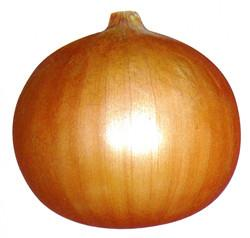 O3̖(ho)--[N